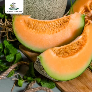 Dưa Lưới Hữu Cơ Biển Hoàng Gia DannyGreen