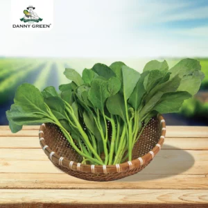 Cải Rổ Hữu Cơ DannyGreen
