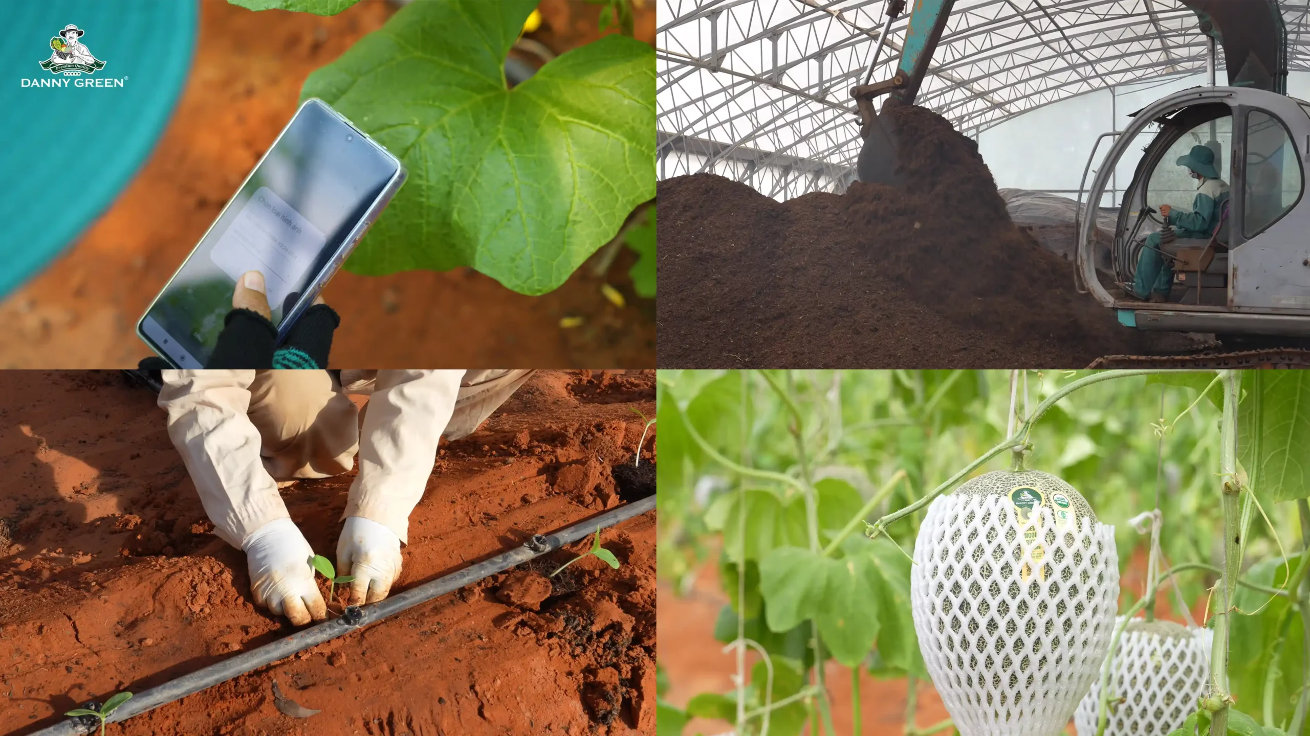 Canh tác hữu cơ công nghệ cao tại nông trại hữu cơ DannyGreen
