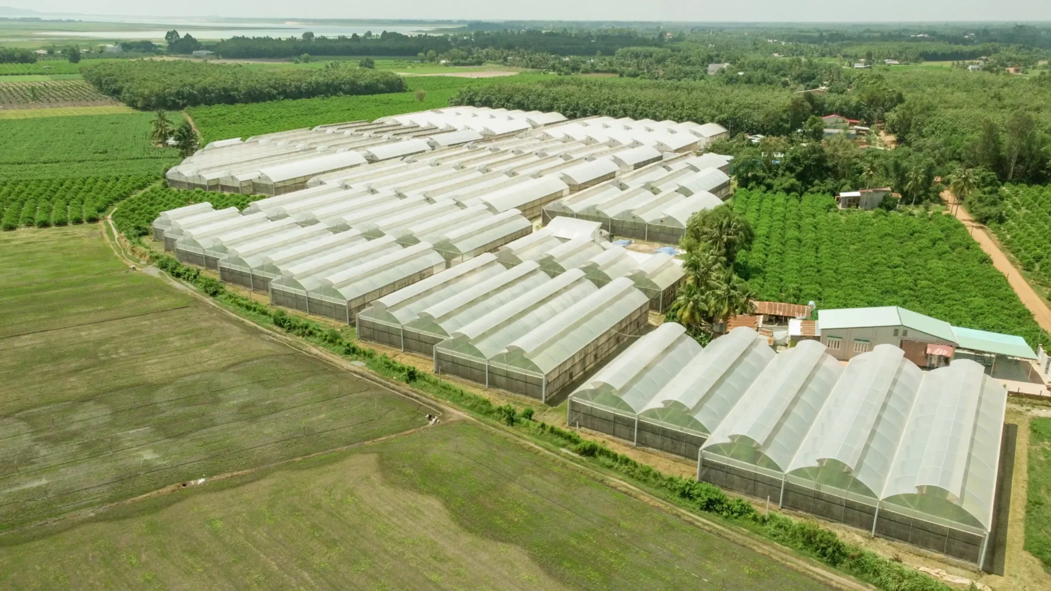 Nông Trại Hữu Cơ DannyGreen Tây Ninh