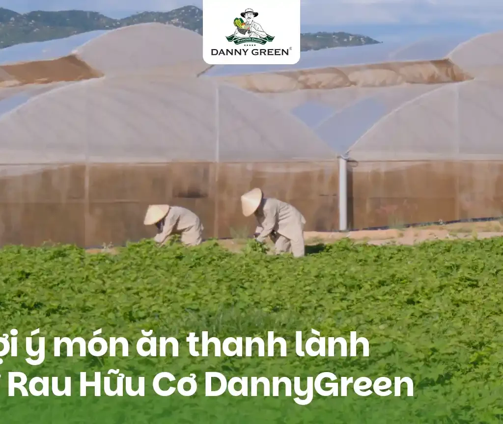 GỢI Ý MÓN ĂN THANH LÀNH CÙNG DANNYGREEN