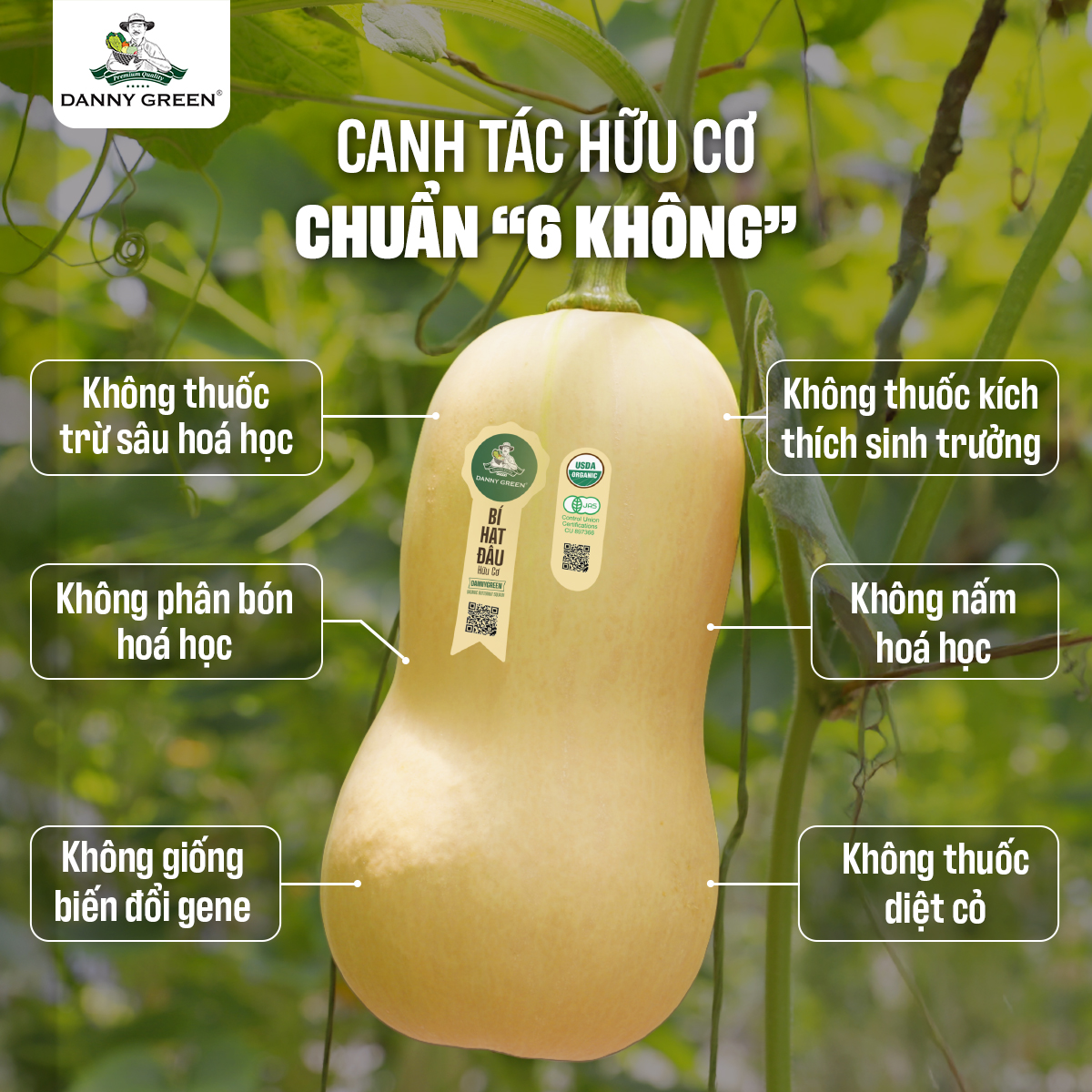 Canh tác hữu cơ chuẩn “6 không” tại DannyGreen