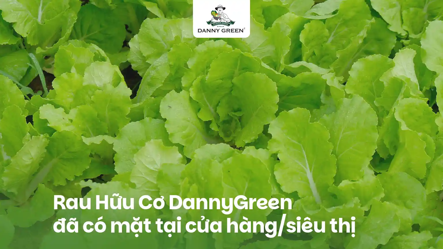 DannyGreen Mở Rộng Hợp Tác Đến Hơn 200 Điểm Phân Phối Rau Hữu Cơ