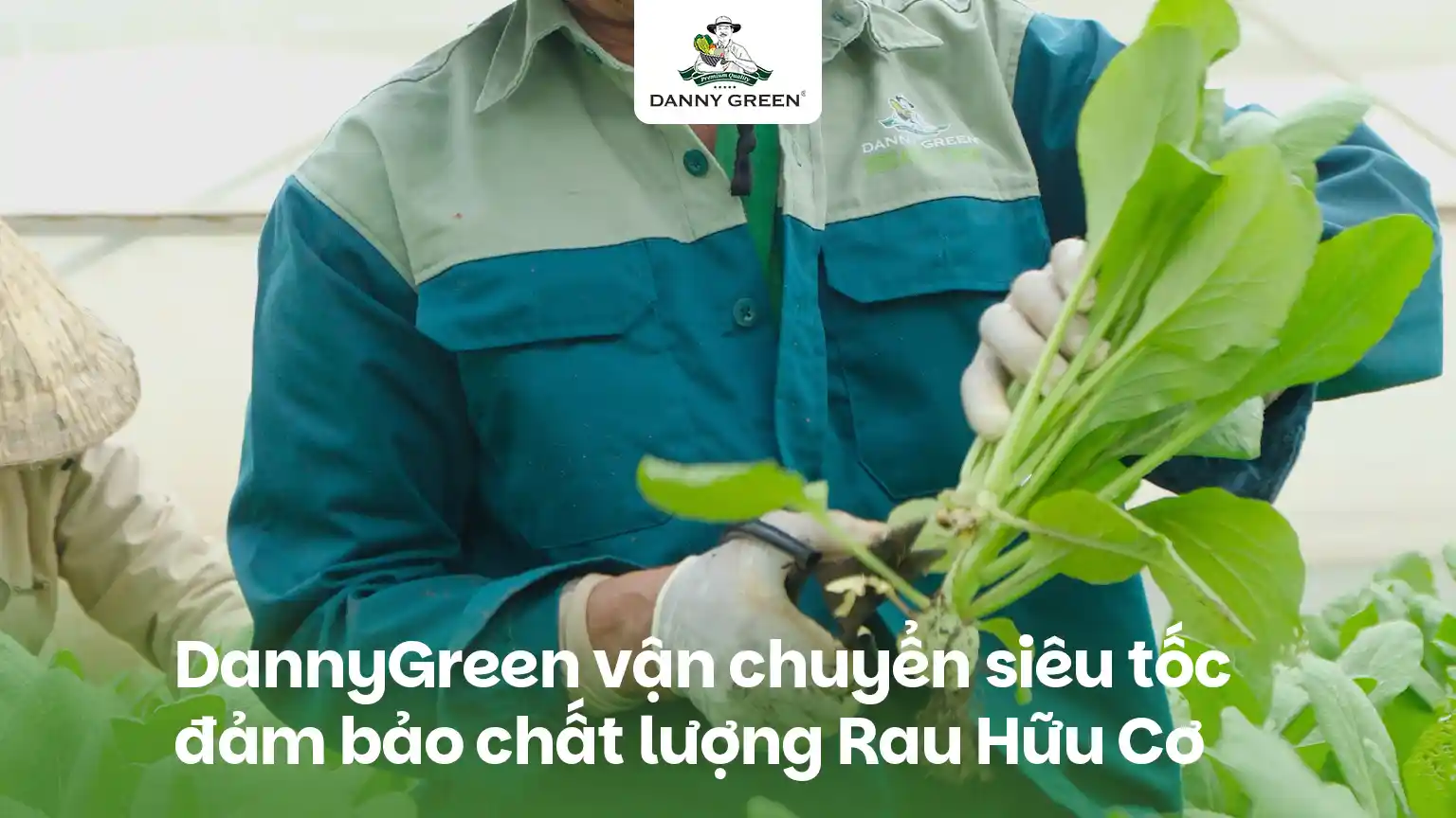 DANNYGREEN VẬN CHUYỂN SIÊU TỐC, ĐẢM BẢO CHẤT LƯỢNG RAU HỮU CƠ TỪ NÔNG TRẠI ĐẾN ĐIỂM BÁN