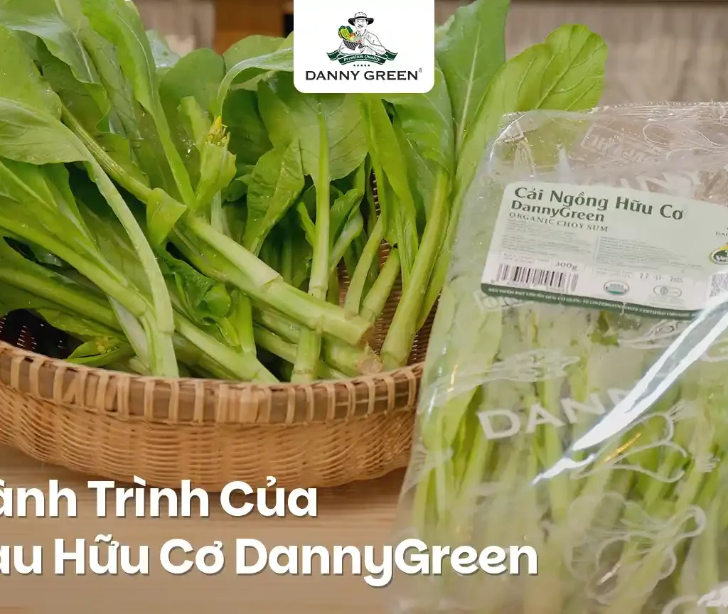 Từ Hạt Mầm Đến Mâm Cơm: Hành Trình Của Một Bó Rau Hữu Cơ DannyGreen