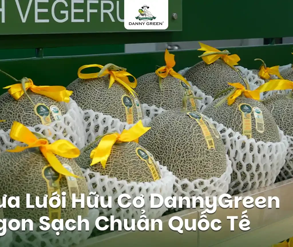 Cùng Khám Phá Dưa Lưới Hữu Cơ DannyGreen Ngon Sạch Từ Quy Trình Chuẩn Quốc Tế