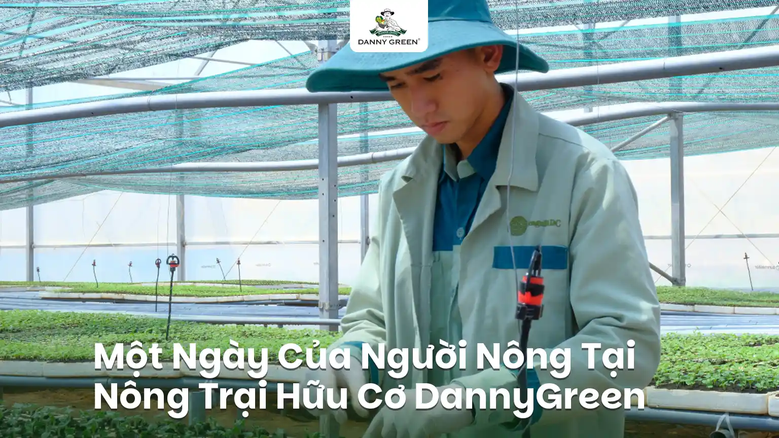 Một Ngày Của Người Nông Dân DannyGreen - Nơi Nông Sản Hữu Cơ Bắt Đầu