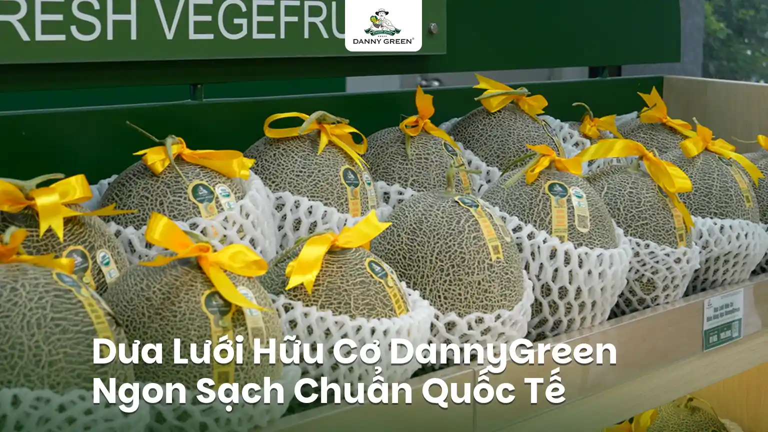 Cùng Khám Phá Dưa Lưới Hữu Cơ DannyGreen Ngon Sạch Từ Quy Trình Chuẩn Quốc Tế