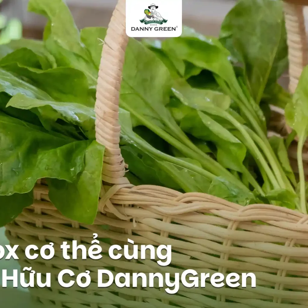 DETOX CÙNG RAU HỮU CƠ DANNYREEN