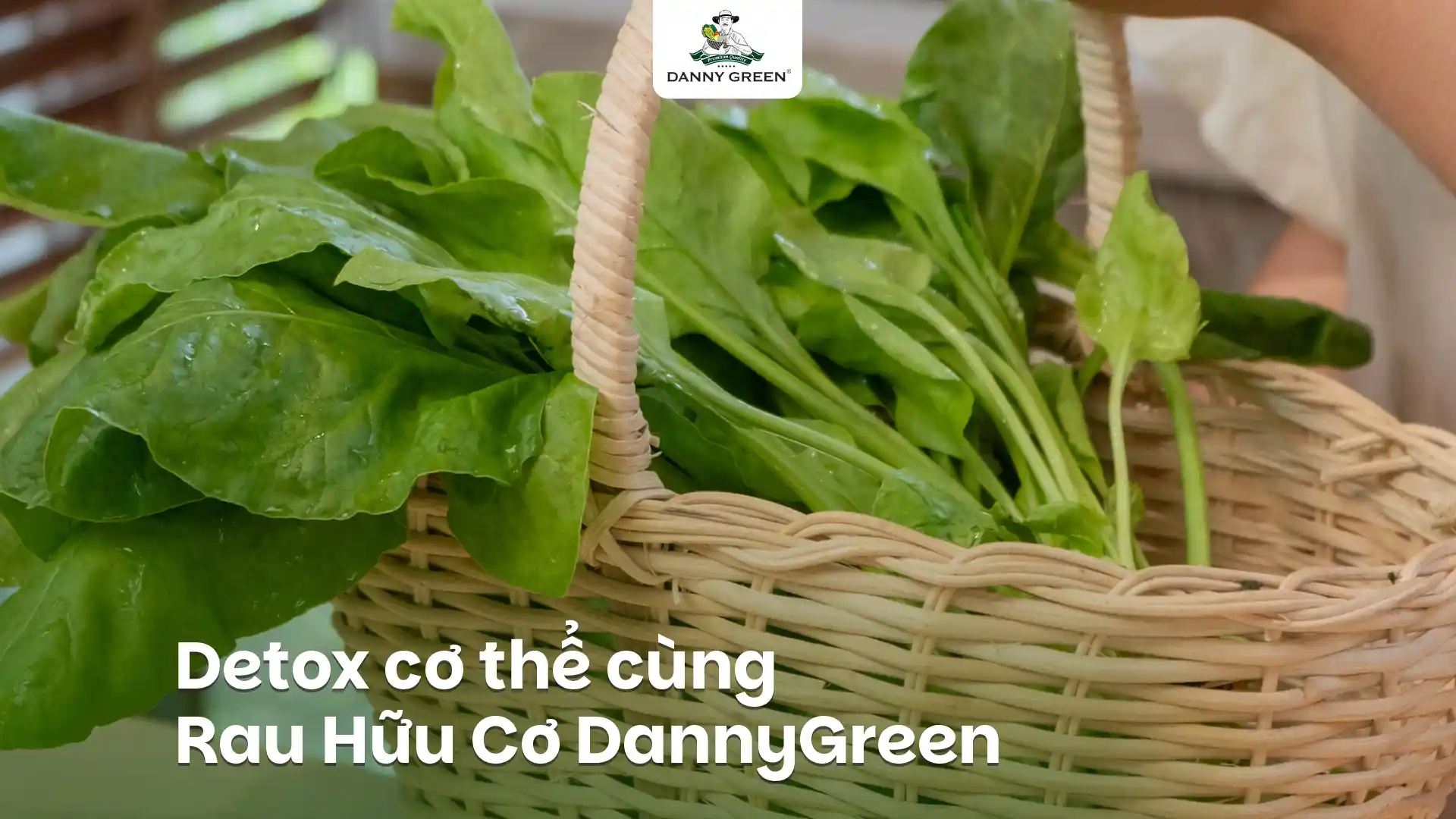 DETOX CÙNG RAU HỮU CƠ DANNYREEN