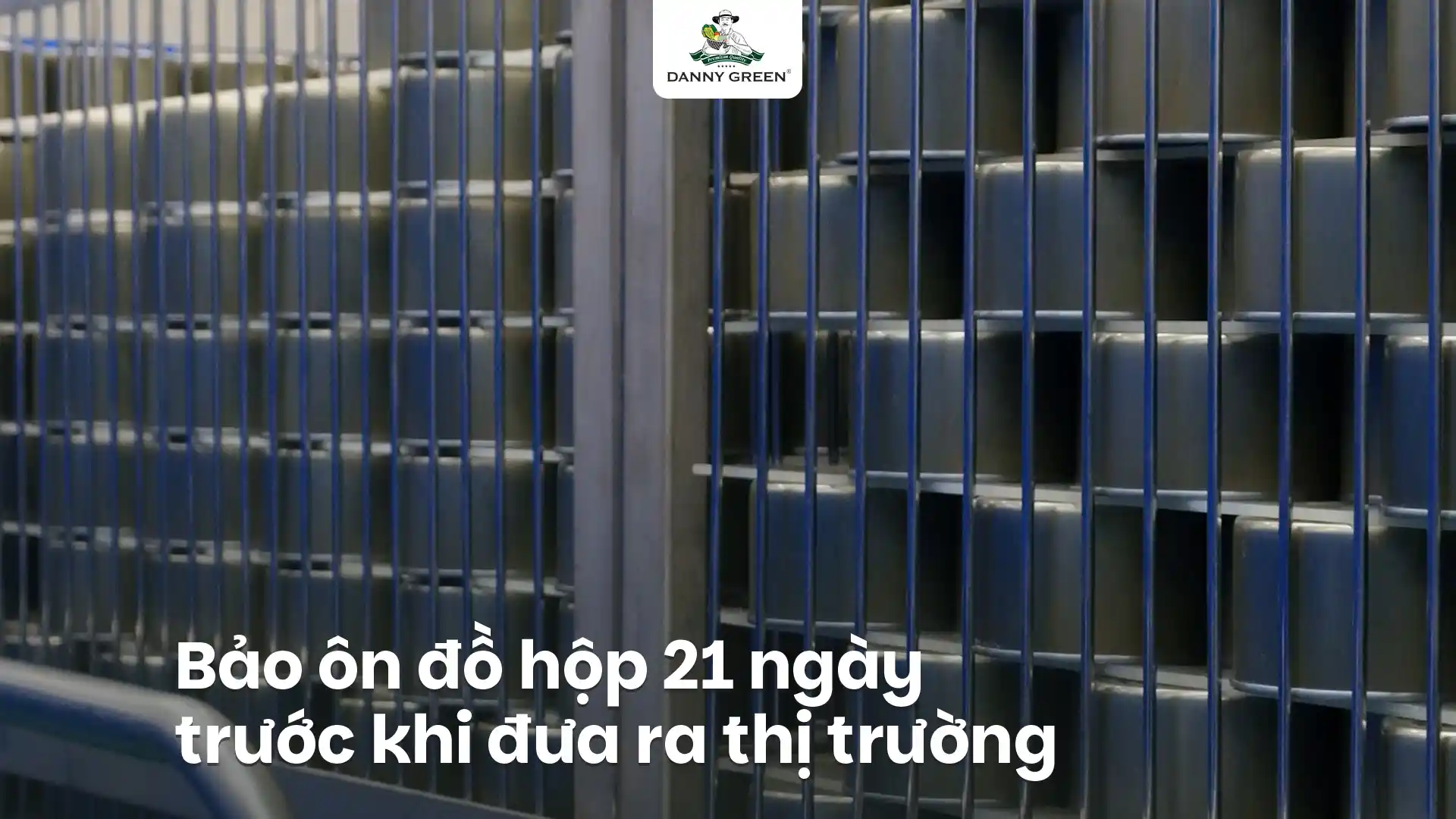 VÌ SAO CÁ HE KHO RIỆU DANNYGREEN PHẢI BẢO ÔN 21 NGÀY?