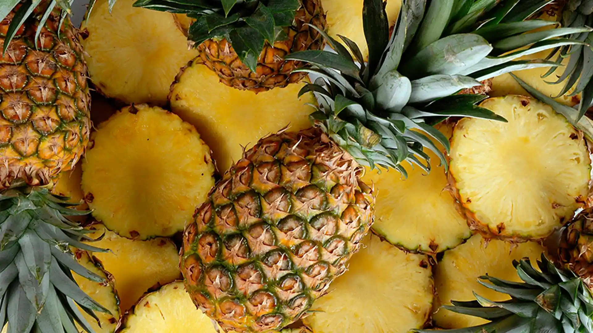 Nguyên liệu dứa tươi cho sản phẩm Nước Ép Dứa và Nước Ép Dứa Có Thịt Dứa
