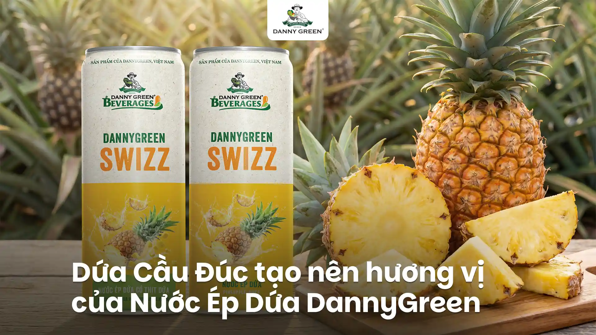 Bí mật đằng sau hương vị nước ép DannyGreen: Dứa Cầu Đúc