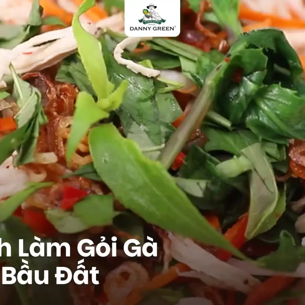 Cách Làm Gỏi Rau Bầu Đất: Món Ăn Thanh Mát, Bổ Dưỡng Cho Cả Gia đình