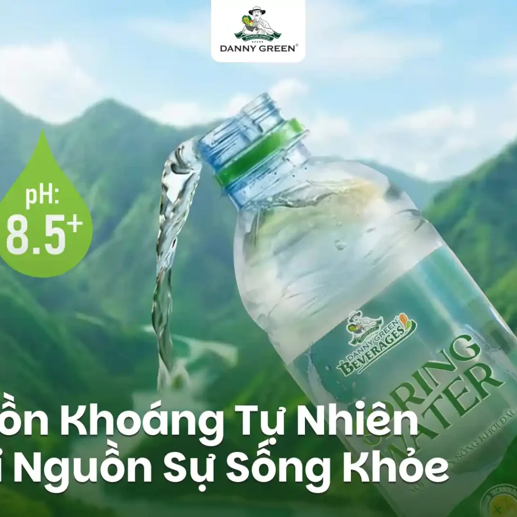 Nguồn Khoáng Tự Nhiên Trên Đỉnh Lang Biang: Khởi Nguồn Của Sự Sống Khỏe