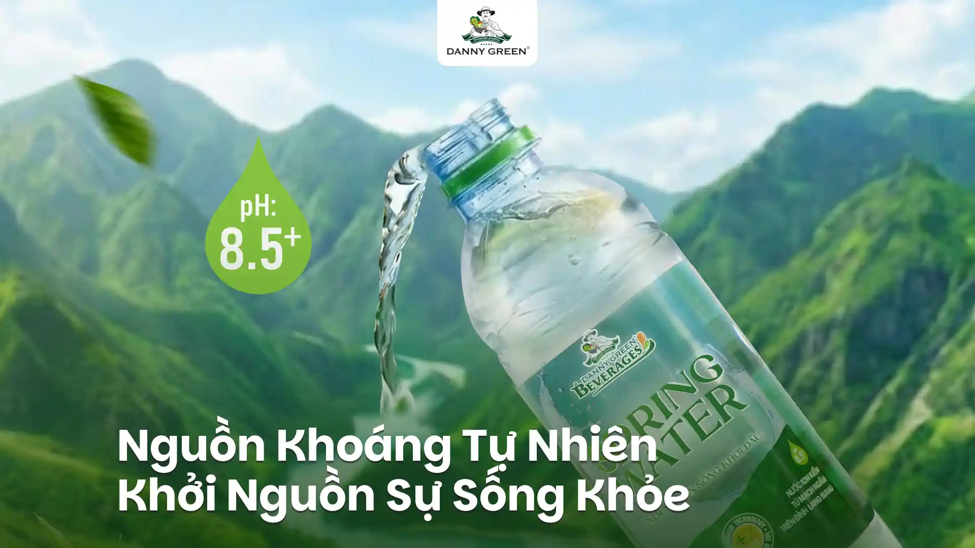 Nguồn Khoáng Tự Nhiên Trên Đỉnh Lang Biang: Khởi Nguồn Của Sự Sống Khỏe